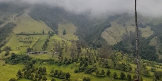 Eje Cafetero